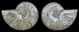 Polished Ammonite Pair - Agatized #59465-1